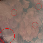 158391791.jpg